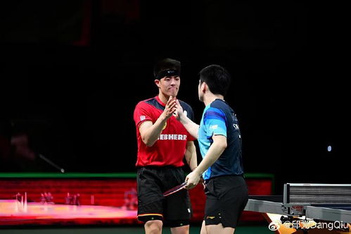 樊振东正式加盟杜塞尔多夫 樊振东正式加盟杜塞尔多夫