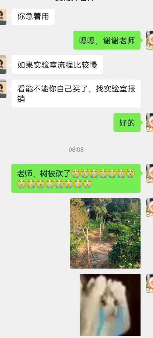 农学生的“毕业论文”又被偷了 农学生的“毕业论文”又被偷了
